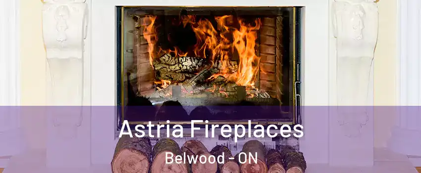  Astria Fireplaces Belwood - ON