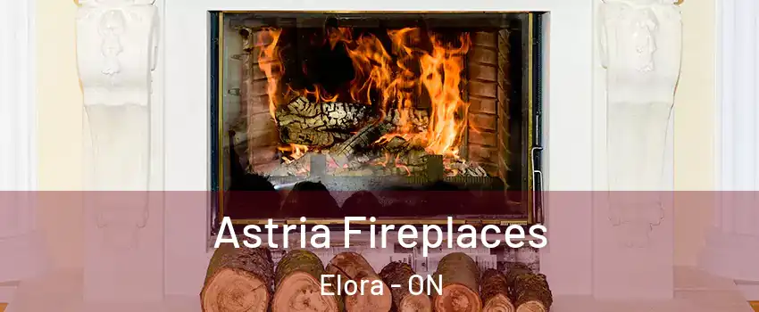  Astria Fireplaces Elora - ON