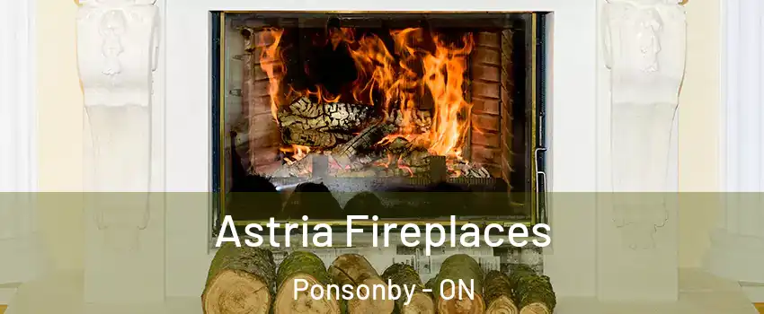  Astria Fireplaces Ponsonby - ON
