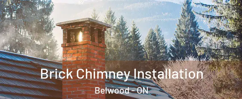  Brick Chimney Installation Belwood - ON