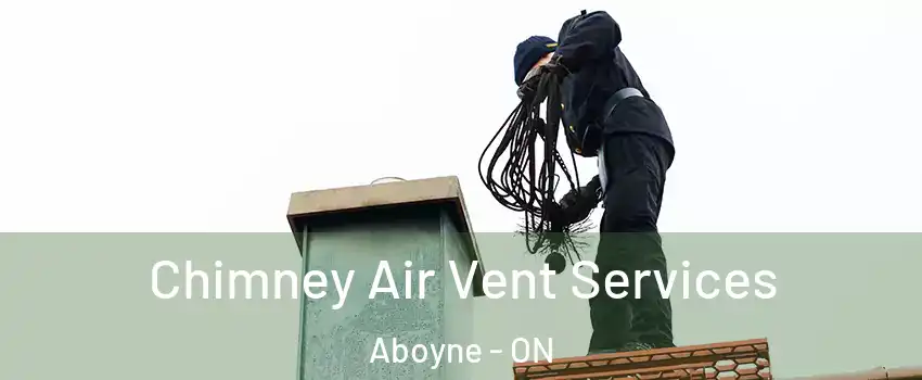  Chimney Air Vent Services Aboyne - ON