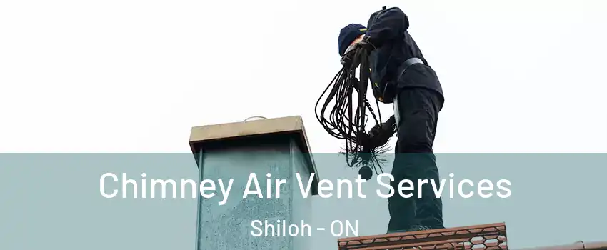  Chimney Air Vent Services Shiloh - ON