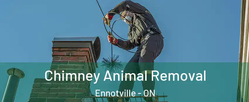  Chimney Animal Removal Ennotville - ON