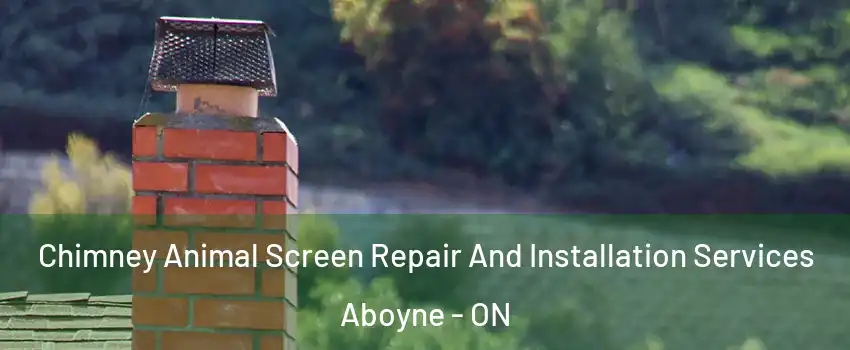  Chimney Animal Screen Repair And Installation Services Aboyne - ON