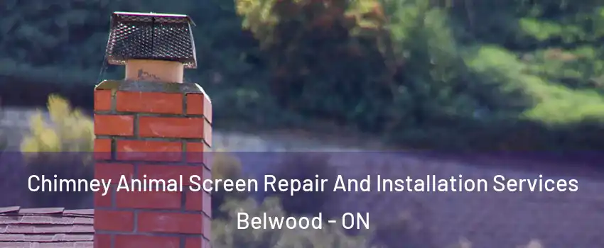  Chimney Animal Screen Repair And Installation Services Belwood - ON