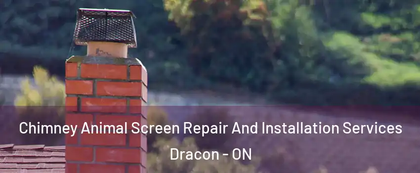 Chimney Animal Screen Repair And Installation Services Dracon - ON