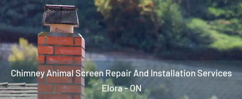  Chimney Animal Screen Repair And Installation Services Elora - ON