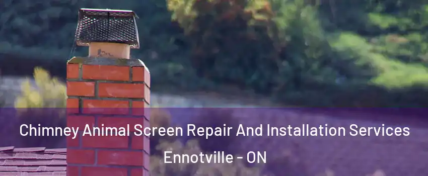  Chimney Animal Screen Repair And Installation Services Ennotville - ON