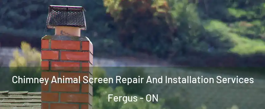  Chimney Animal Screen Repair And Installation Services Fergus - ON