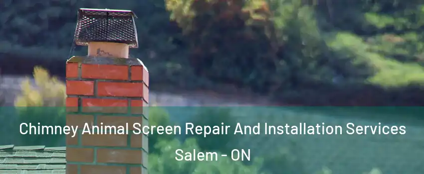  Chimney Animal Screen Repair And Installation Services Salem - ON