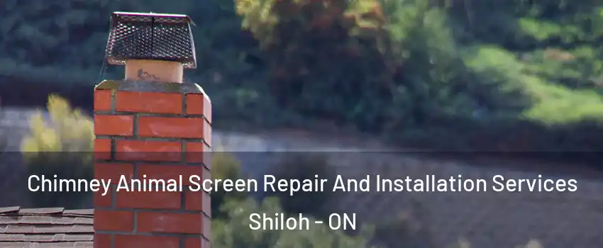 Chimney Animal Screen Repair And Installation Services Shiloh - ON