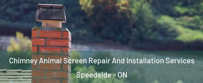  Chimney Animal Screen Repair And Installation Services Speedside - ON