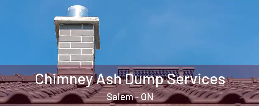  Chimney Ash Dump Services Salem - ON
