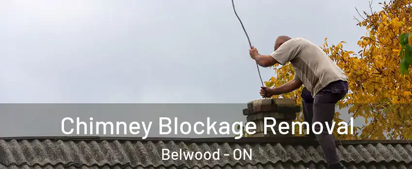  Chimney Blockage Removal Belwood - ON