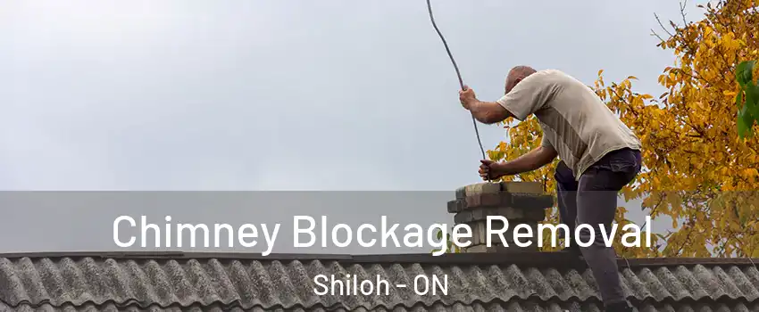  Chimney Blockage Removal Shiloh - ON