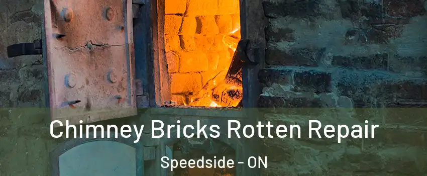  Chimney Bricks Rotten Repair Speedside - ON
