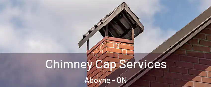  Chimney Cap Services Aboyne - ON