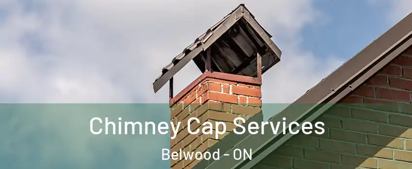  Chimney Cap Services Belwood - ON