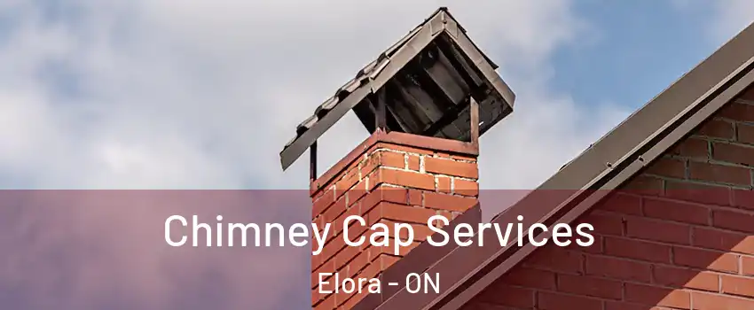  Chimney Cap Services Elora - ON