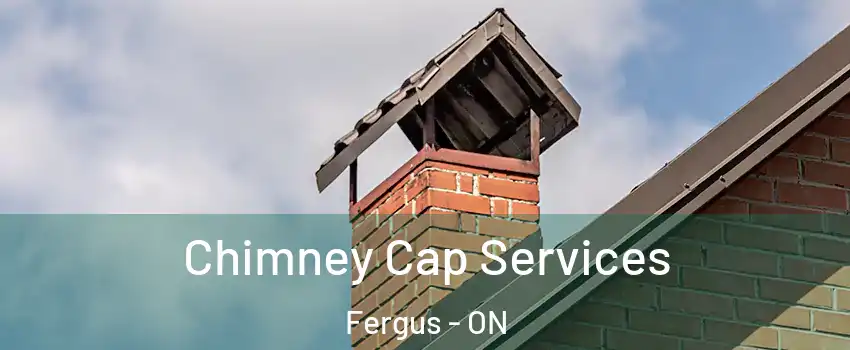  Chimney Cap Services Fergus - ON