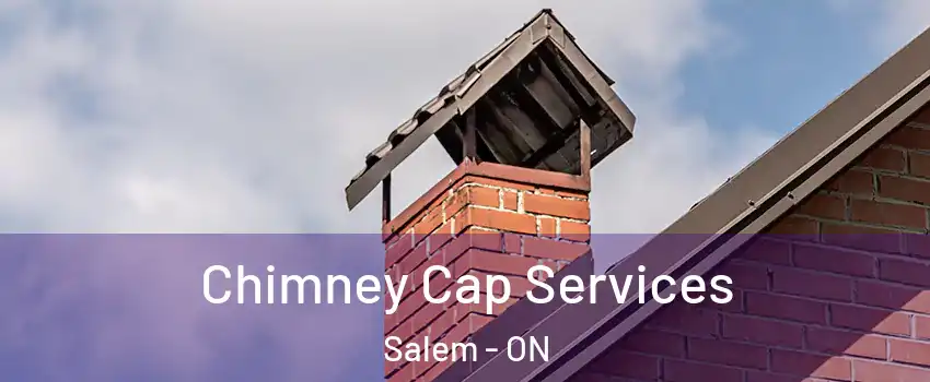  Chimney Cap Services Salem - ON