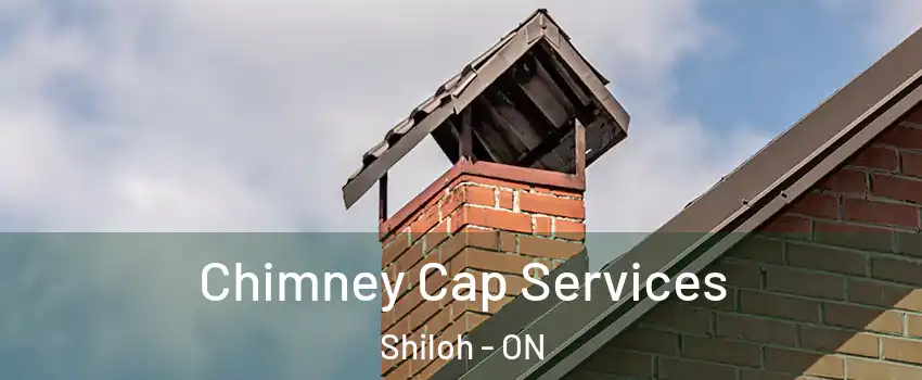  Chimney Cap Services Shiloh - ON