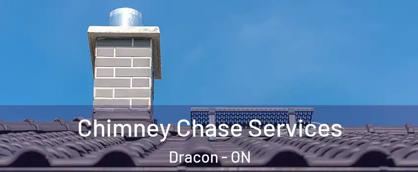  Chimney Chase Services Dracon - ON
