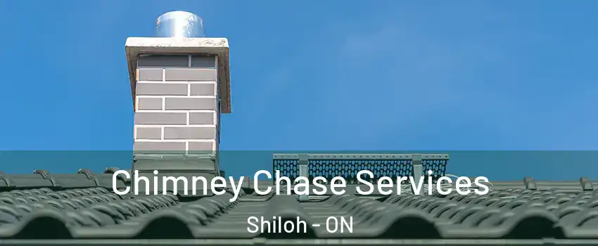  Chimney Chase Services Shiloh - ON