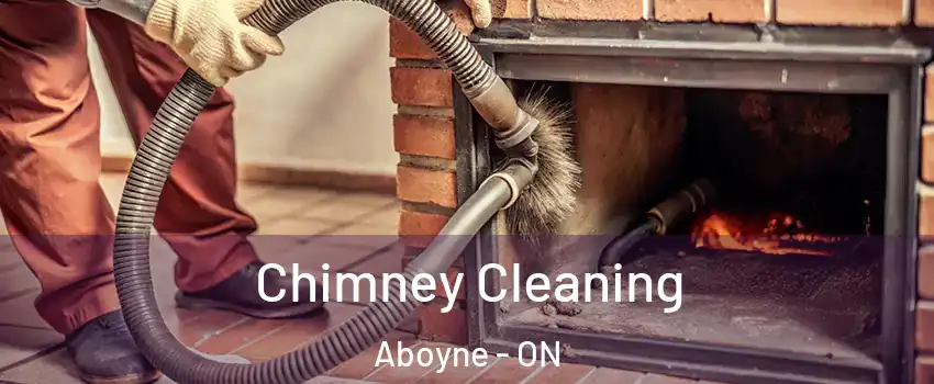  Chimney Cleaning Aboyne - ON