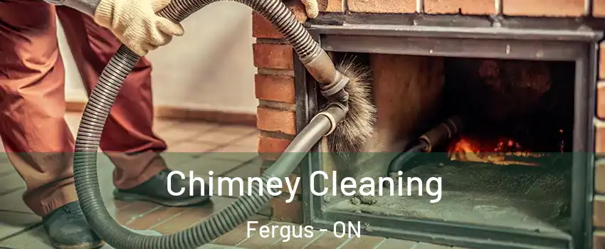  Chimney Cleaning Fergus - ON