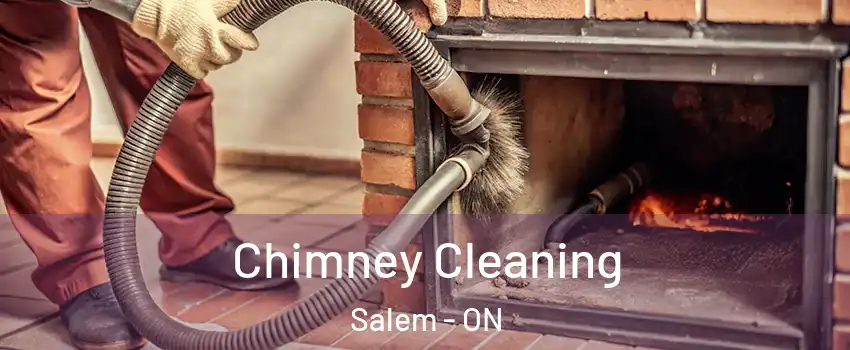  Chimney Cleaning Salem - ON
