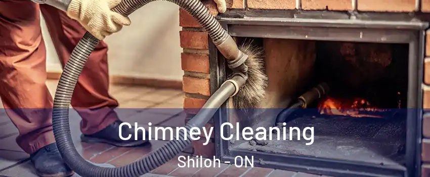  Chimney Cleaning Shiloh - ON