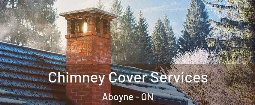  Chimney Cover Services Aboyne - ON