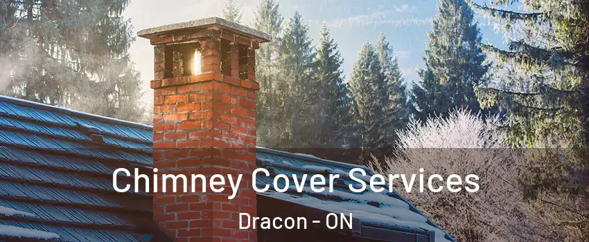  Chimney Cover Services Dracon - ON