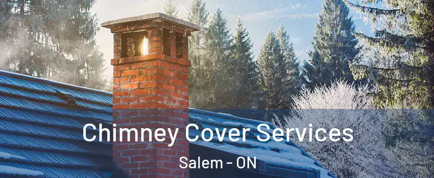  Chimney Cover Services Salem - ON