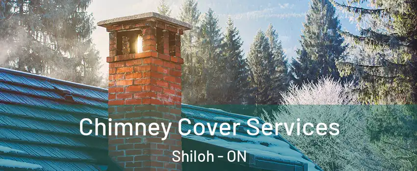  Chimney Cover Services Shiloh - ON