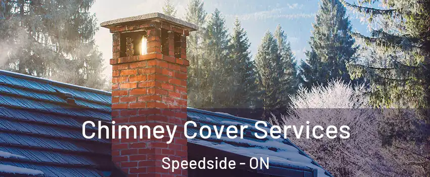  Chimney Cover Services Speedside - ON