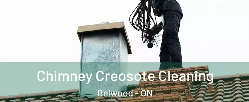  Chimney Creosote Cleaning Belwood - ON