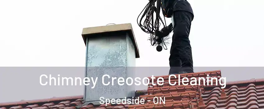  Chimney Creosote Cleaning Speedside - ON