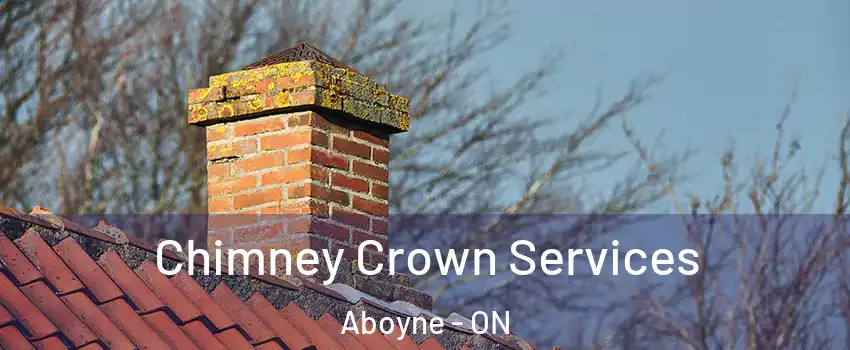  Chimney Crown Services Aboyne - ON