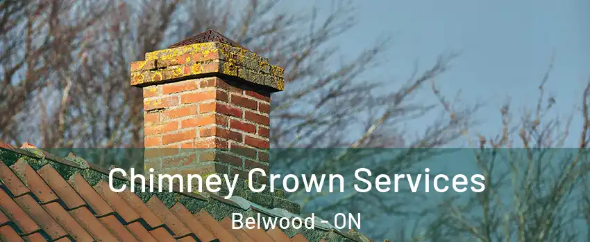  Chimney Crown Services Belwood - ON