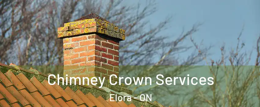  Chimney Crown Services Elora - ON