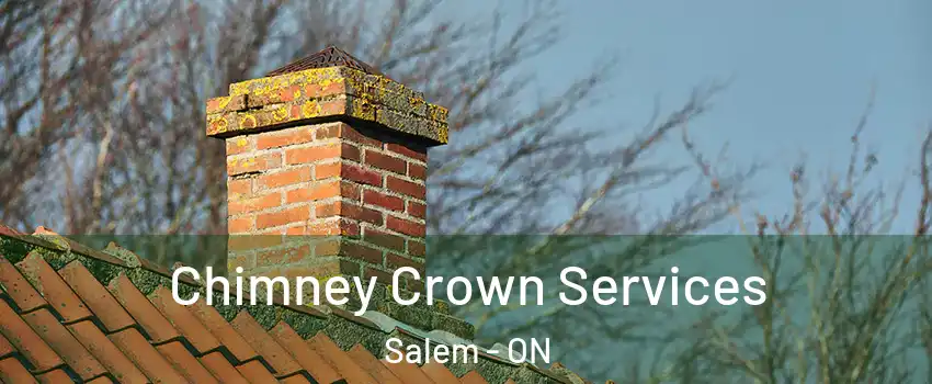  Chimney Crown Services Salem - ON
