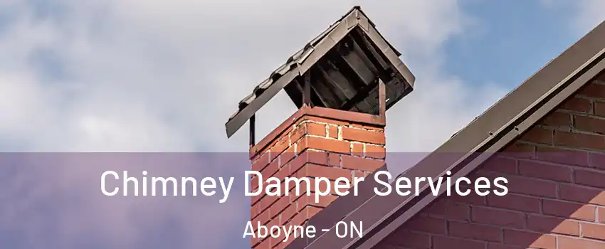  Chimney Damper Services Aboyne - ON
