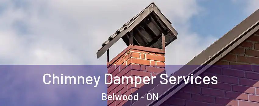  Chimney Damper Services Belwood - ON