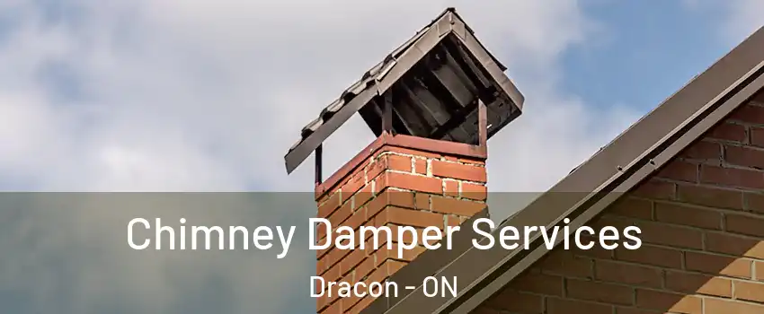 Chimney Damper Services Dracon - ON