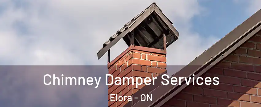  Chimney Damper Services Elora - ON