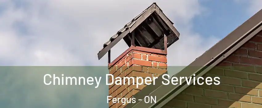  Chimney Damper Services Fergus - ON