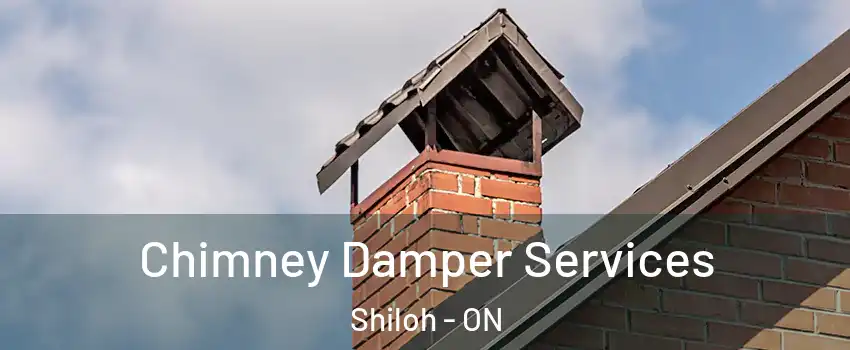  Chimney Damper Services Shiloh - ON