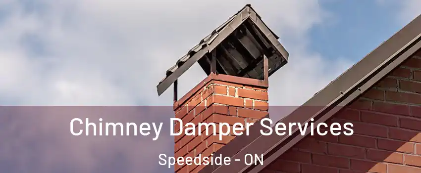 Chimney Damper Services Speedside - ON